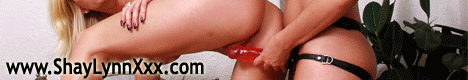 exotic dancer shay lynn