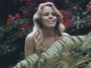 Hairy studs in hardcore blowjob and anal fucking