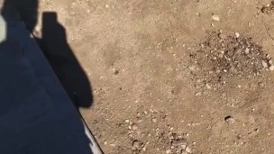 Outdoor piss #3 • backyard